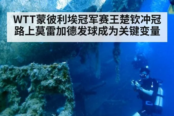 WTT蒙彼利埃冠军赛王楚钦冲冠路上莫雷加德发球成为关键变量